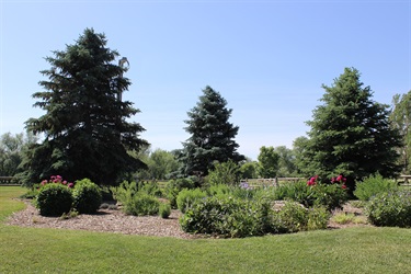 Stone House east yard and garden