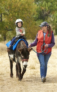 Pony Rides at Cider Days