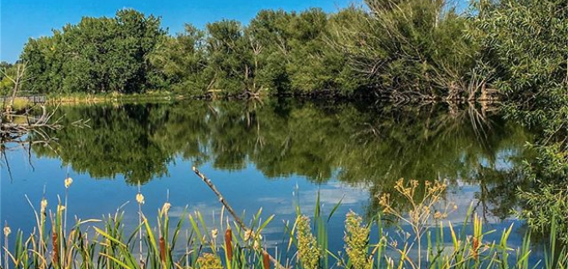 Bear Creek Greenbelt Park with lake