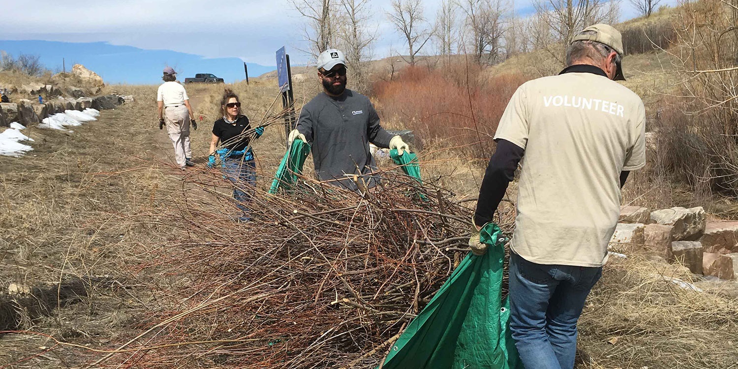 Two people dispose of willow branches.