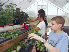 2011-Jefferson-County-School-herb-garden.jpg