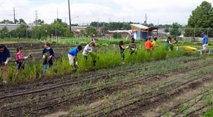 Mountair Park Community Farm.jpg