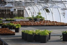 The-Garden-Center-at-Warren-Tech.jpg