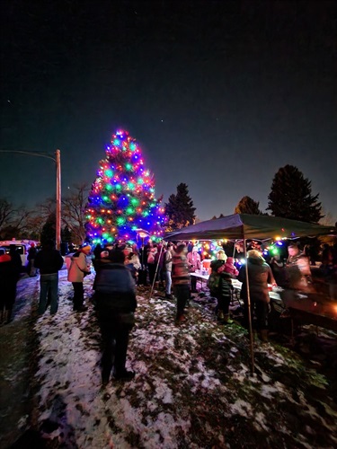 The Mid Lakewood Civic Association organized a tree lighting party at Meadowlark Park.