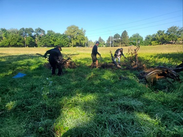 Silvertree HOA used their Get-Together grant to host a cleanup to mitigate nearby fire potential.